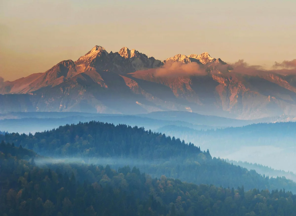 Dobre krzesła do ćwiczeń w domu: Jak wybrać idealne wsparcie dla swojej aktywności!