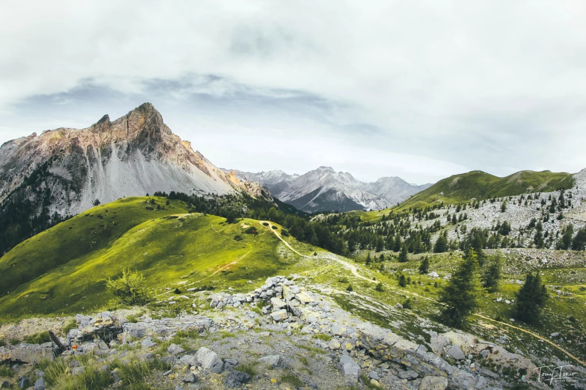 Nauka o zdrowiu: Klucz do lepszego życia i długowieczności