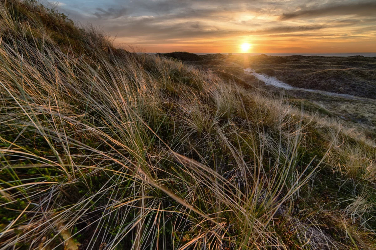 Bazy Danych o produktach i opakowaniach oraz o gospodarce Odpadami we Francji - EPR: Klucz do zrównoważonego rozwoju i odpowiedzialności ekologicznej