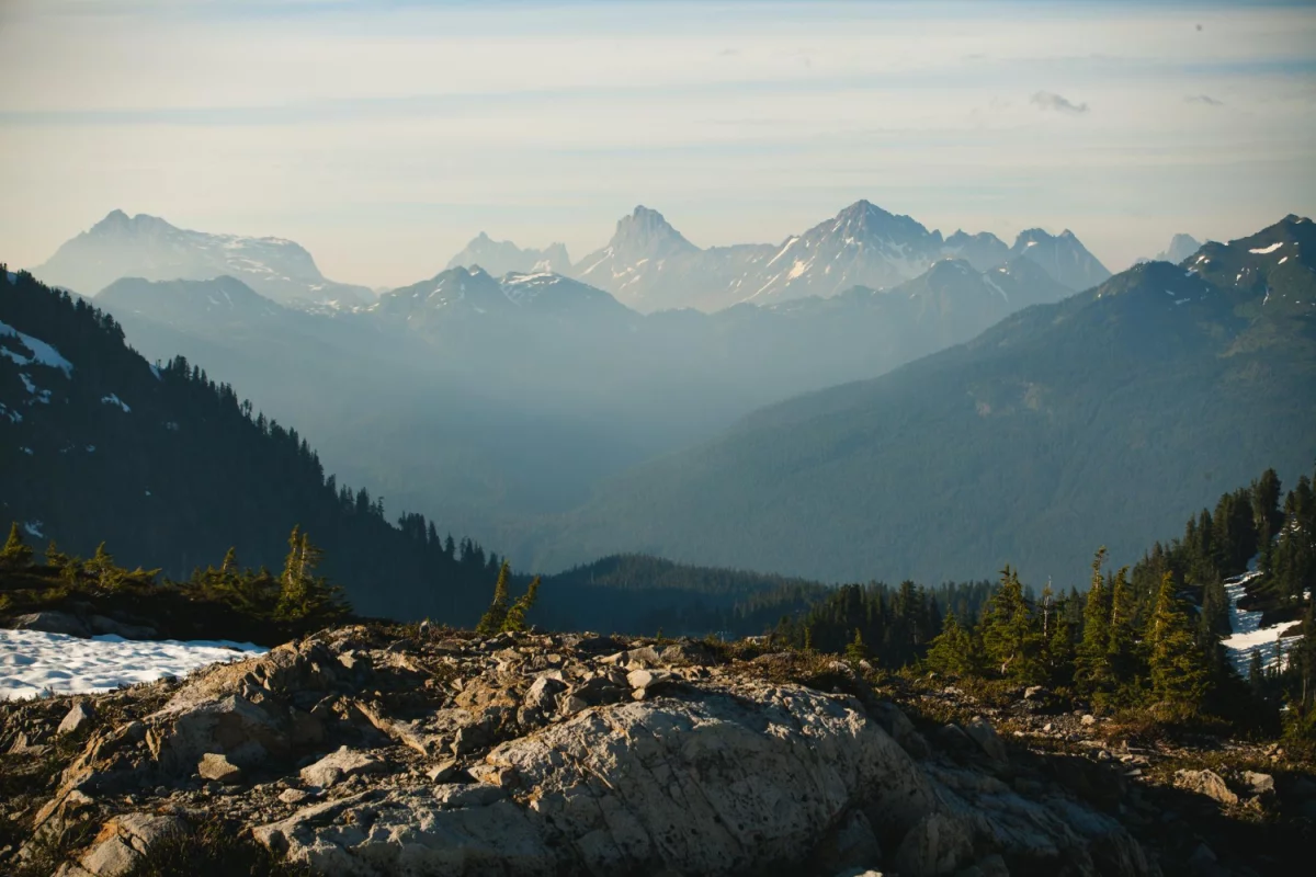 Ochrona środowiska dla firm w Polsce: Jak przedsiębiorstwa mogą wspierać zrównoważony rozwój?