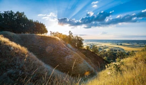 Biznes meblowy w Europie: Trendy, wyzwania i przyszłość branży