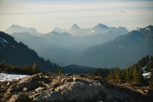 Ochrona środowiska w firmie: Kluczowe strategie na rzecz zrównoważonego rozwoju